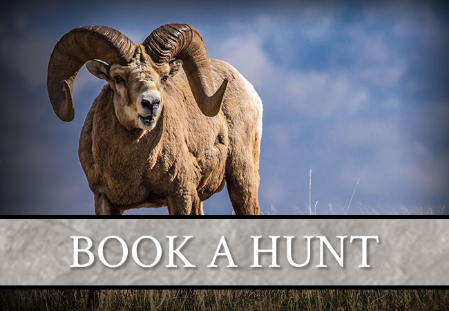 Book a Hunt with Carter Outfitting LTD