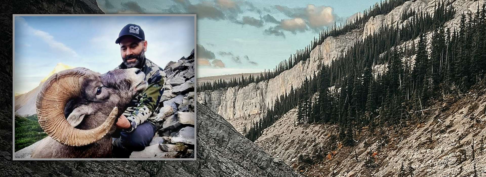  Bighorn sheep hunt
