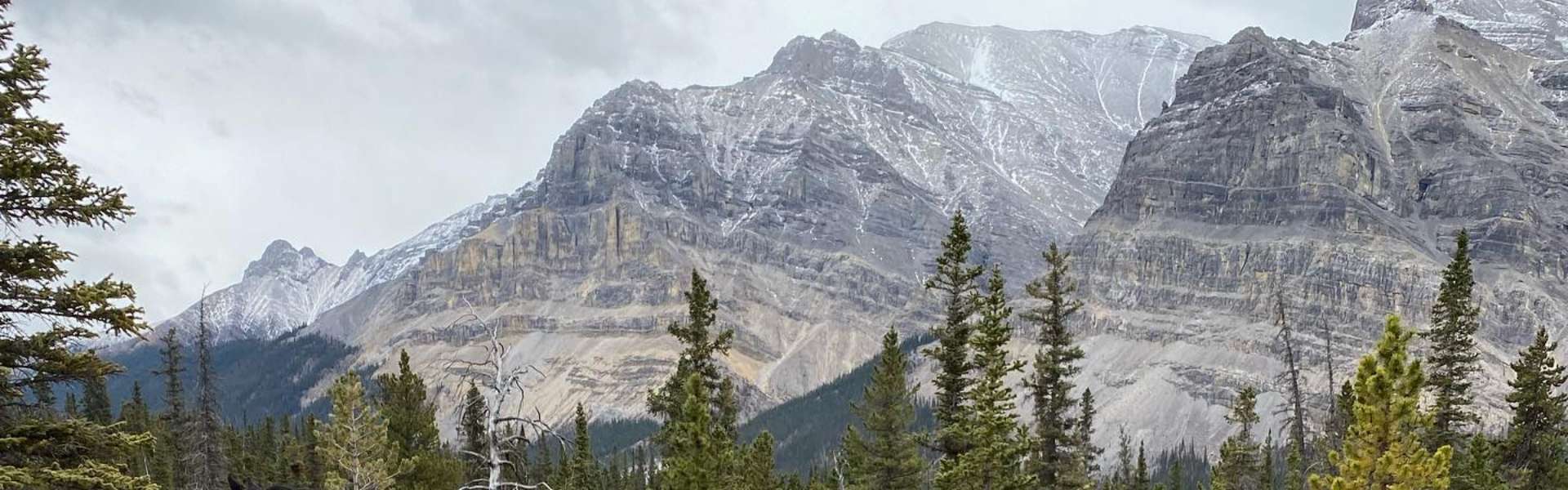 Guided Hunting Trips in Canada