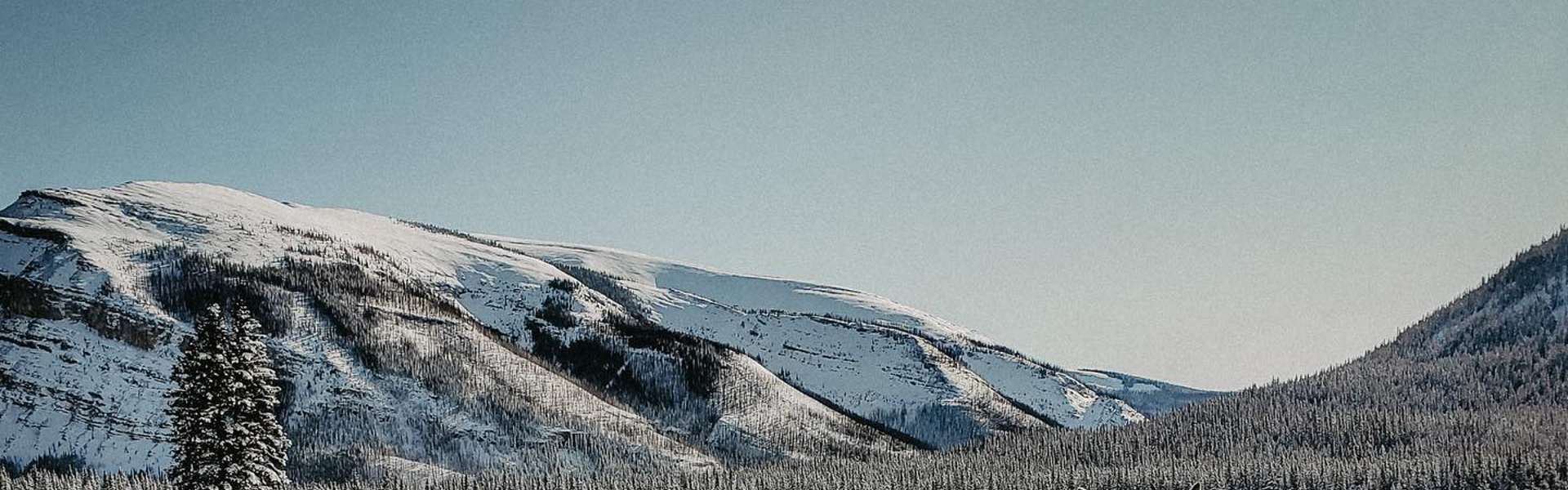 Rates & Packages - Alberta Big Game Hunting Trips