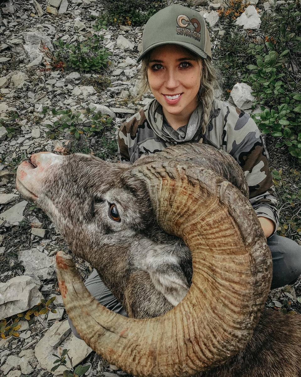 Trophy Bighorn Sheep Hunt