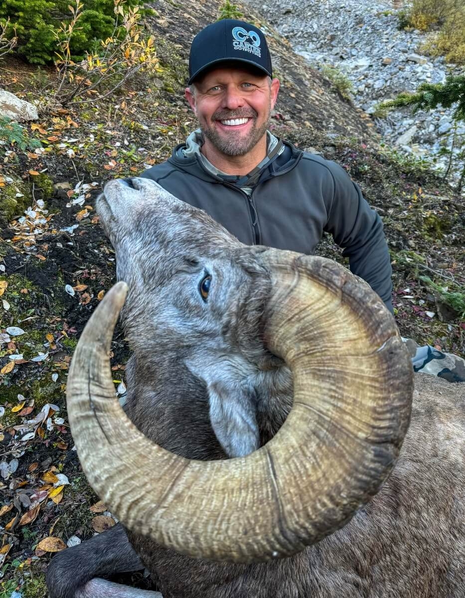 Trophy bighorn sheep hunted in Alberta with Carter Outfitting